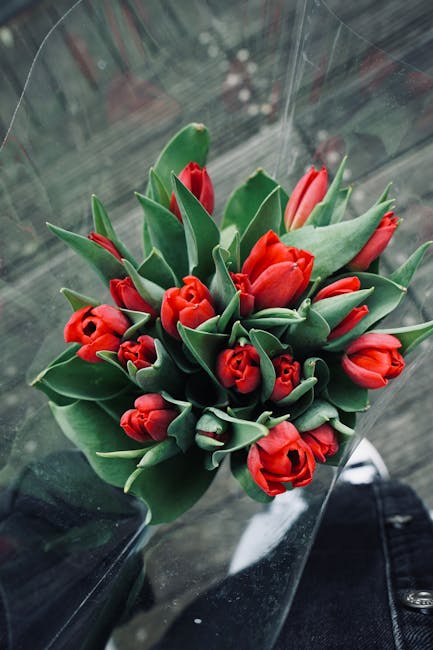A bouquet of fresh red tulips with smooth, green leaves arranged in a compact cluster. The tulips are in various stages of bloom, some partially closed and others fully open, displaying their vibrant