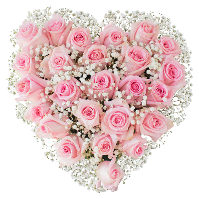 A lush, heart-shaped floral design composed of numerous soft pastel pink roses sits against a pure white backdrop, each bloom contributing to an overall surface of velvet-petal texture and layered colour. The roses show a gentle gradation of pink-from the palest blush at the outer petals to subtly richer tones toward each bloom's centre-and vary in openness so the heart reads as alive and breathing: tight buds nestle beside half-open blooms that reveal their delicate spirals. Intertwined among them, countless sprigs of white baby's breath (Gypsophila) create a cloud-like veil, their tiny stars of white lifting the composition and clarifying the heart's silhouette with a lacy, ethereal contrast. The lighting is bright and even, catching the soft sheen on petals and defining the shadows between blooms to enhance depth and tactile richness. There is an olfactory suggestion of classic rose perfume-gentle, reassuring-and a clear sense of artisanry: the measured spacing, symmetrical contour, and taught heart shape reflect a florist's steady hand. Locally, this arrangement evokes occasions in Palmers Green-delivered to a café table near Alderman's Hill, presented at a family anniversary beside Broomfield Park, or chosen for a romantic gesture en route down Green Lanes. Crafted with care by a neighbourhood maker, it communicates tenderness, devotion, and quiet celebration.