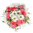 This radiant bouquet, crafted with the artistry and care Palmers Green florists are known for, is a true celebration of the area's lively character and green spaces. The arrangement comes alive beneath soft natural light, with pure white daisies forming cheerful focal points-their lime-green centres gleaming amidst clouds of ruffled coral-pink carnations that infuse the bouquet with warmth and playful energy. Sprigs of delicate baby's breath (gypsophila) nestle gently between the larger blooms, creating a wispy, weightless feel and lending layers of soft texture reminiscent of early summer walks through Broomfield Park. Dotted among the foliage, slender alstroemeria buds hint at deeper pink and purple hues, promising future beauty and subtle surprise. The greenery frames each floral cluster-a mix of silver-toned eucalyptus and deep, glossy leaves that provide a calming backdrop and carry a fresh, herbal scent. Every stem is carefully chosen and placed, resulting in a perfectly balanced, round composition. The overall impression is one of exuberant calm-an arrangement that radiates joy, gratitude, and optimism. Ideal for birthday surprises, marking special milestones, or sending encouragement to a friend in Palmers Green, this bouquet brings the artistry of local florists into the heart of your celebration.